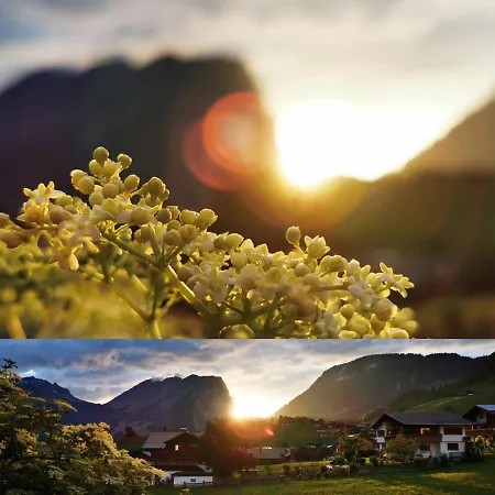 Apartman Urlaub Bei Moses *