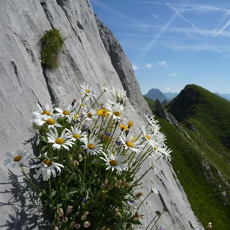 Apartman Urlaub Bei Moses *