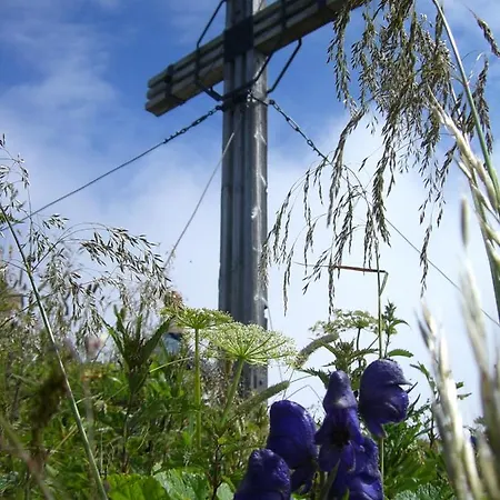 Urlaub Bei Moses Apartman *