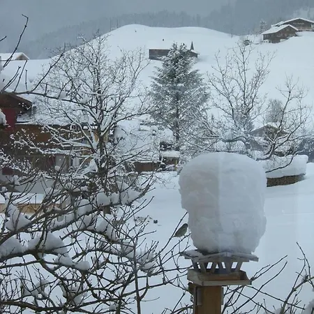 Apartman Urlaub Bei Moses Schoppernau