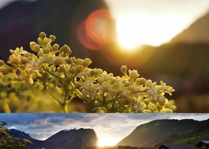 Apartment Urlaub Bei Moses *