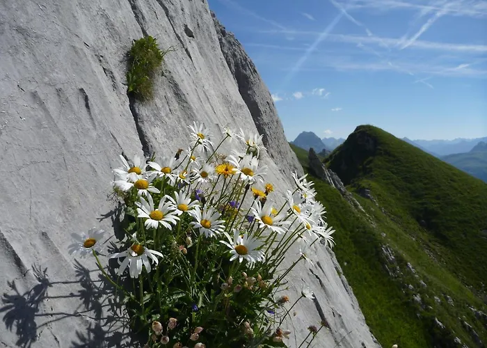 Apartment Urlaub Bei Moses *