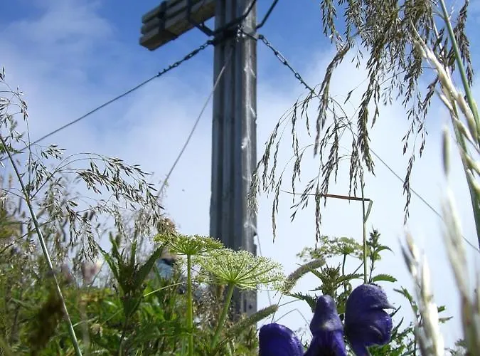 Urlaub Bei Moses Apartment *