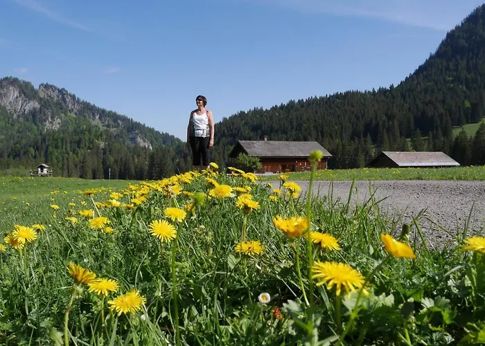 Urlaub Bei Moses Apartment Schoppernau